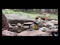 Live Cam Chipmunk Speed Dating!! Relaxing, bird nature wildlife 9k feet! Colorado Rocky Mountains