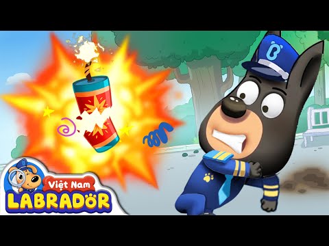Video Pháo hoa nguy hiểm | Cảnh sát trưởng laborador | Hoạt... - youtube