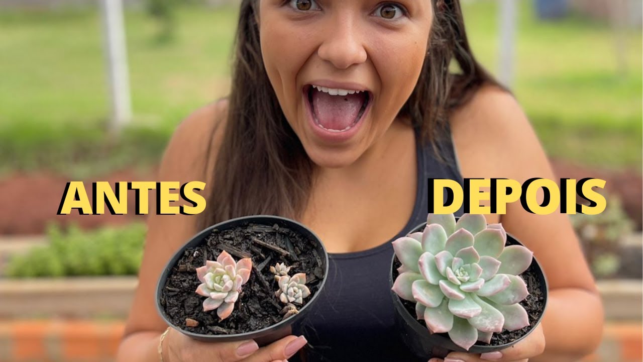 DICA POLÊMICA 🤯 QUE FAZ CRESCER MAIS RÁPIDO