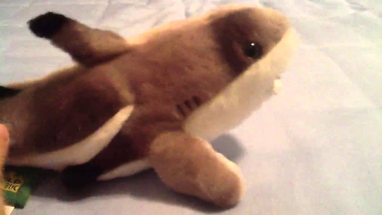 blacktip reef shark plush