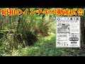 昭和のインチキ不動産広告