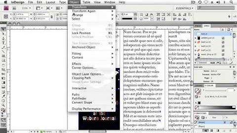 Adope Flash Tutorial CS4 Working with Illustrator® Files in InDesign