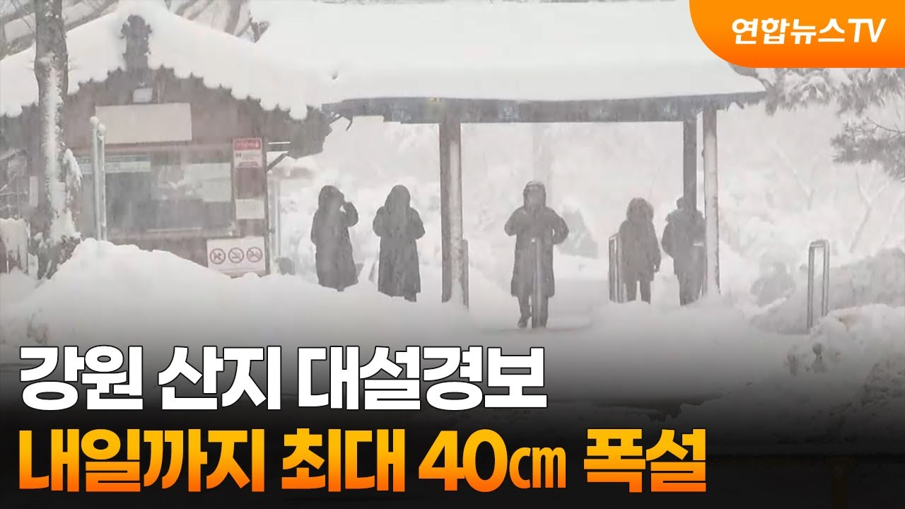 강원 산지 대설경보…내일까지 최대 40㎝ 폭설 / 연합뉴스TV (YonhapnewsTV)