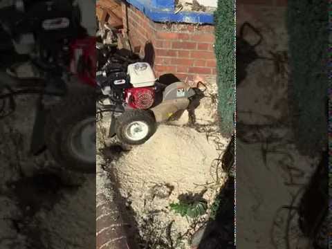 stump removal / grinding in Reading