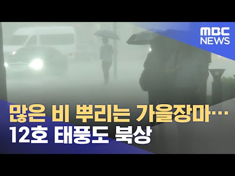 많은 비 뿌리는 가을장마…12호 태풍도 북상 (2021.08.22/뉴스투데이/MBC)