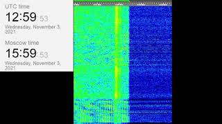 The Buzzer/UVB-76(4625Khz) November 3, 2021 12:59UTC Voice message