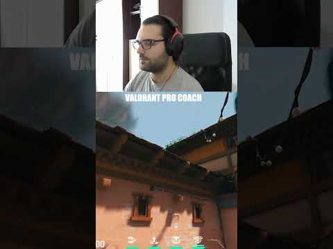 Fade Haven A