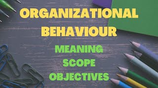 Organizational Behaviour I Organizational Behaviour Chapter 1