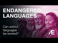 Ælementz Daily Podcast 🫵 🎧 What happens when a language goes extinct? And More