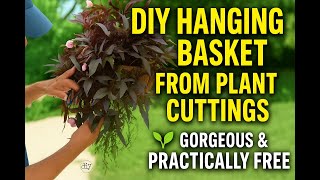 🔥DIY Hanging Basket from Plant Cuttings! 🌿 Gorgeous & Practically Free