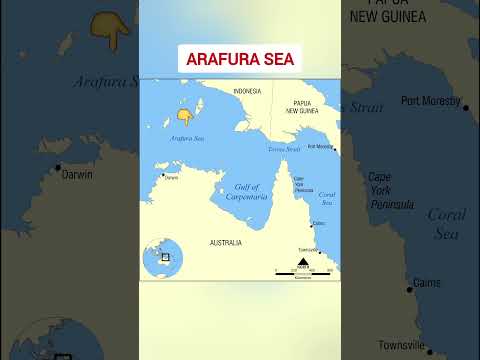 Video: Where is the Arafura Sea? Description, features