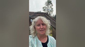 Why Embracing AI Is the Only Way Forward #substack #shorts