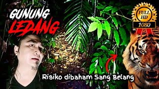 GUNUNG LEDANG | EXPLORE MALAM | HATI-HATI ADA HARIMAU!! | TOK BUGIS URBAN EXPLORER