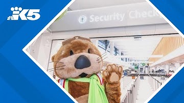 Newly-renovated security checkpoint opens just in time at SEA Airport