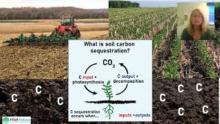 What Is Soil Carbon Sequestration?
