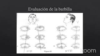 Evaluación Del Paciente I