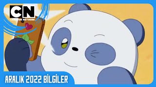 Cartoon Network Aralık Ayı Bilgiler