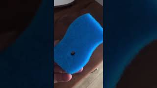 Сегодня привезла внуков на свой новый участок