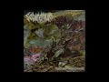 Sedimentum (Ca) - Suppuration Morphogénésiaque (Album 2022)