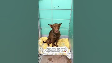 Help us please 💔🙏😢