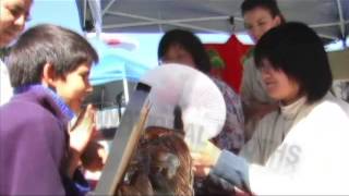 18th Annual Oxnard Multicultural Festival