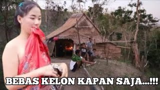 Download Lagu BEBAS KELON KAPAN SAJA....‼️ RUMAH MENYENDIRI DI TENGAH HUTAN RIMBA BELANTARA PULAU JAWA MP3 Download Lagu BEBAS KELON KAPAN SAJA....‼️ RUMAH MENYENDIRI DI TENGAH HUTAN RIMBA BELANTARA PULAU JAWA MP3