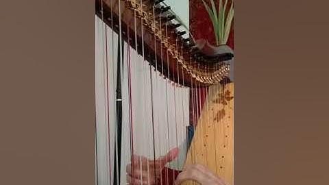 Laurie Riley - More double strung techniques