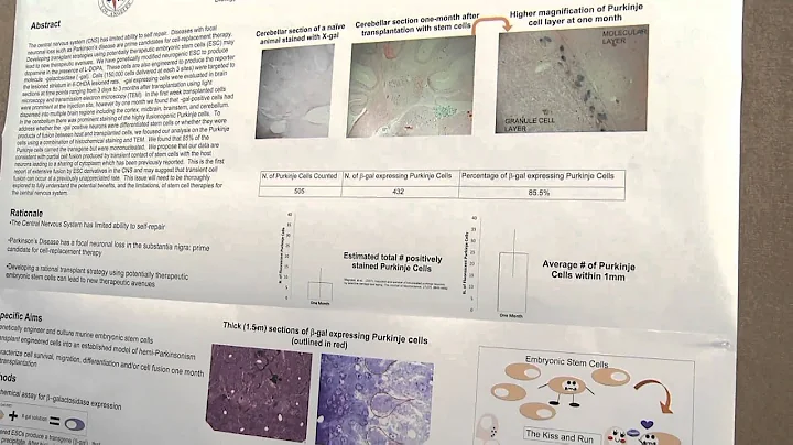 Emily Kimes' Presentation