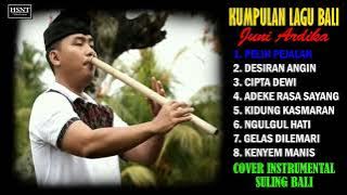 KUMPULAN LAGU BALI || INSTRUMENTAL SULING BALI || COVER BY JUNI ARDIKA || PART 3
