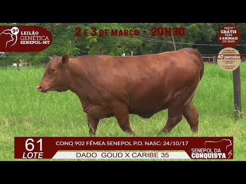 LOTE 61 CONQ 902