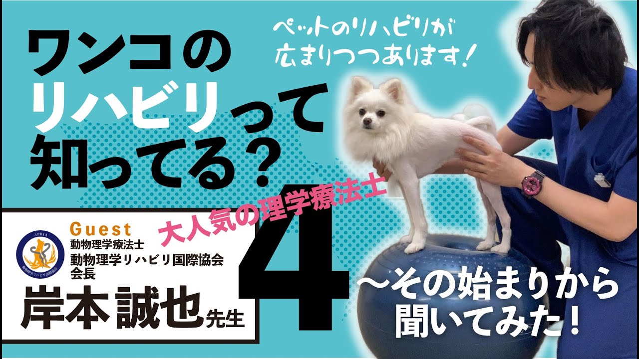 ワンちゃんネコちゃんの健やかな毎日を守るHERO】# 4 岸本誠也先生