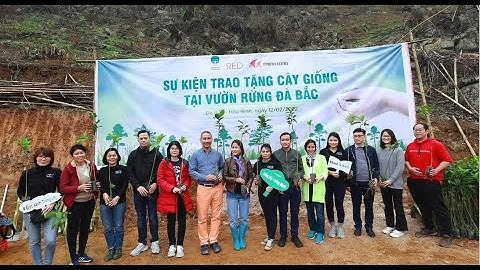 NHỮNG TÁC ĐỘNG TÍCH CỰC TỪ HOẠT ĐỘNG TRỒNG RỪNG