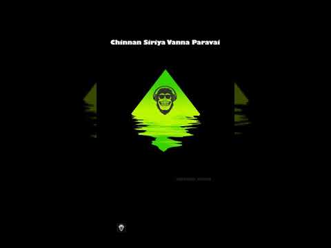 Chinnan Chiriya Vanna Paravai Remix  Chinna Siriya Vannaparavai Bgm  Mani Felina Remix song  TMS