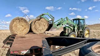 We Got FREE Hay!! (Just In Time!)