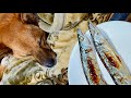 秋刀魚プチモンブラン。
