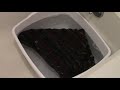 End of video