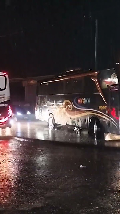 Basuri Viral Bus Warga Baruš„.. #basuri #basuriviral #telolet #bus #pariwisata