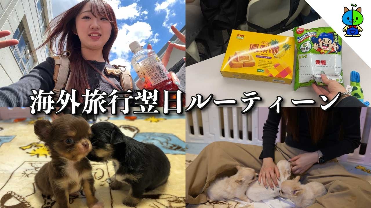 【vlog】海外旅行の翌日ルーティーン！【MOMOLOG_322】