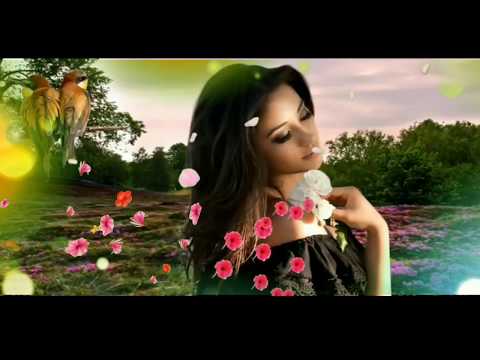 Tumse Milne Ko Dil Karta Hai ((( New Jhankar ))) HD  *Phool aur Kaante - Kumar Sanu, Alka Yagnik