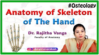 Anatomy of Skeleton of the hand (Osteology) : Carpals, Metacarpals and Phalanges