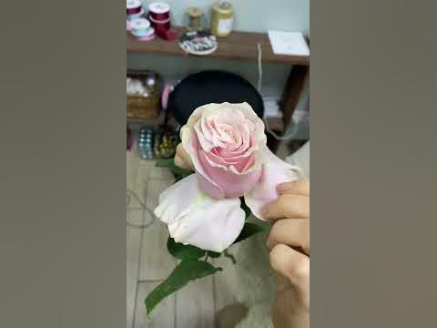 Французская Роза - YouTube