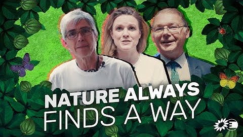 We saved the Nature Restoration Law💚