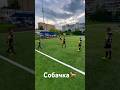 Собачка🐕⚽️ #красногорск #football #тренер #футбол #sports #футболдети #sportsfootball #москва