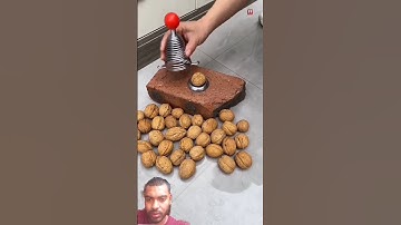 अखरोट तोड़ने का अनोखा तरीका देखिए #facts #amanzingfacts #trending #youtubeshorts #trendingshorts