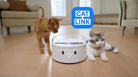 CATLINK RFID Pet Feeder - Standard