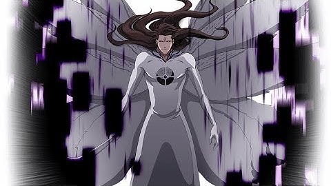 Sosuke Aizen 4th fusion version