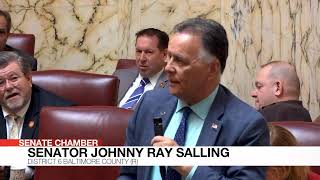 Senate Floor Session, 3/18/2025 #1