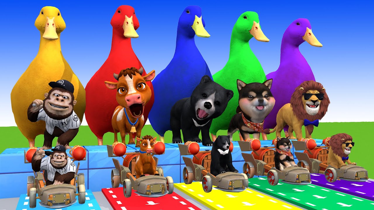 5 Giant Duck Cartoon,Cow,Duck,Bear,Lion,T-Rex,Puppy, Paint Wild Animals Crossing Fountain Animation