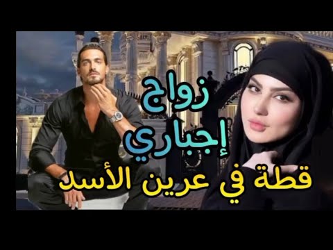 زواج إجباري قطة في عرين الأسد القصة المقبلة