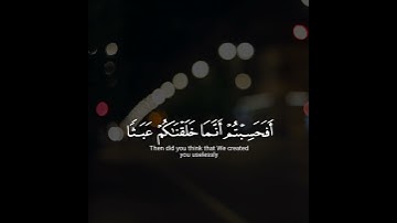 أفحسبتم أنما خلقناكم عبثا القارئ أحمد النفيس